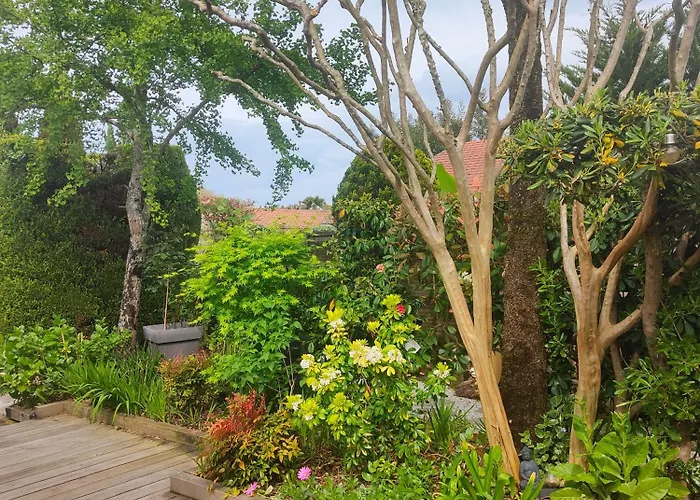 Accommodatie bij particulieren La Mandragore