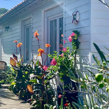 La Mandragore Homestay La Teste-de-Buch